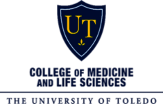 logo:University of Toledo